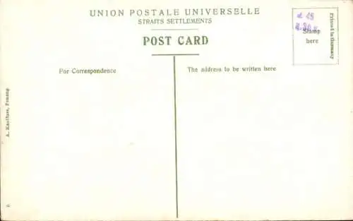 PC Penang Malaysia, Cocoanut plantation