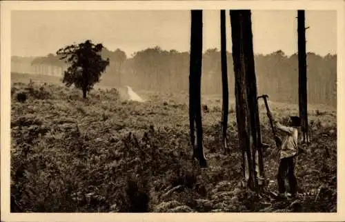 CPA Les Landes de Gascoge, Gemmeur au travail