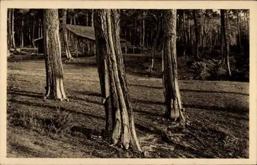 Ak Les Landes de Gascogne, Les Suppliciés