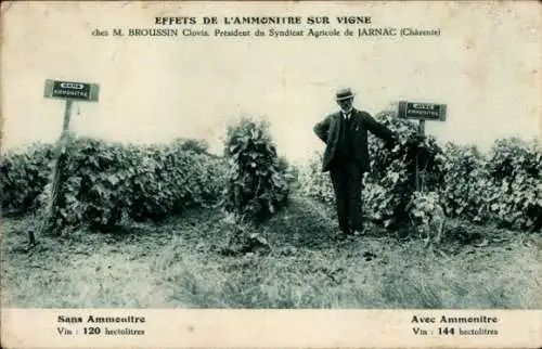 CPA Effets de l'Ammonitre sur Vigne, M. Broussin, Président du Syndicat Agricole de Jarnac