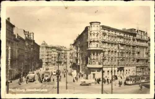 Ak Magdeburg an der Elbe, Hasselbachplatz, Straßenbahnen