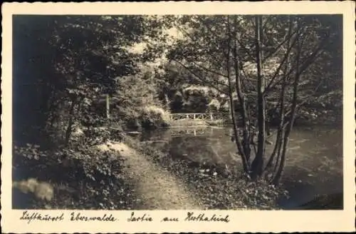 Ak Eberswalde in der Mark, am Herthateich