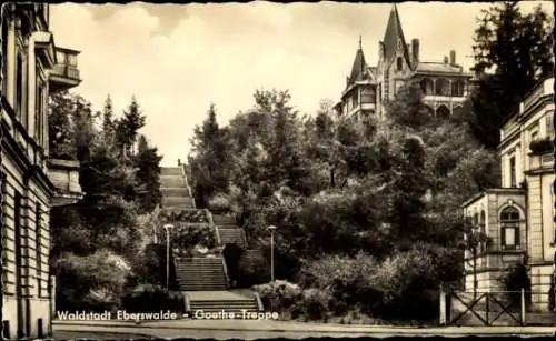 Ak Eberswalde in der Mark, Goethe-Treppe