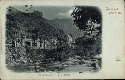 Ak Thale im Harz, Bodetal, Hotel Waldkater
