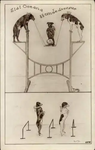 Ak Sidi Oceana Hundedressur