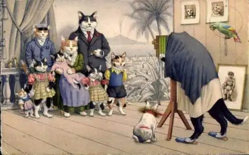 Ak Katzenfamilie bei einem Fotografen, Familienfoto