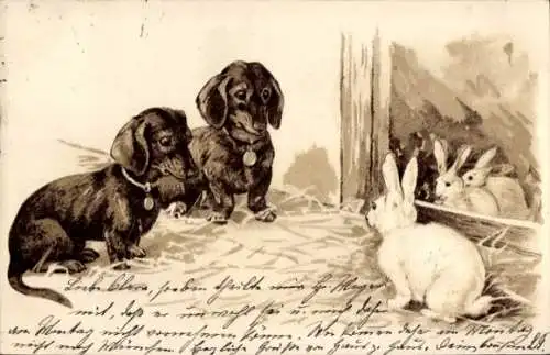 Präge Litho Zwei Dackel beobachten drei weiße Hasen