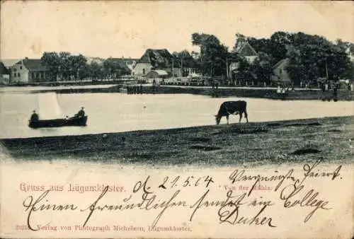 Ak Løgumkloster Lügumkloster Dänemark, See, Kuh, Mühle