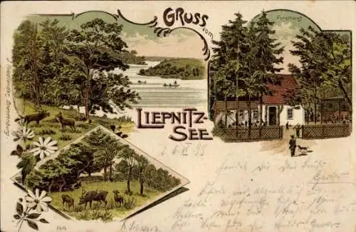 Litho Wandlitz in der Mark, Liepnitzsee, Forsthaus, Wild
