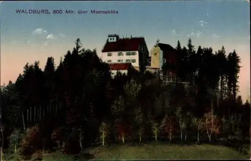 Ak Waldburg in Württemberg, Burg, Wald