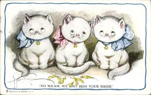 Künstler Ak Drei weiße Katzen, Wir haben Ihren Vogel nicht gesehen, Federn