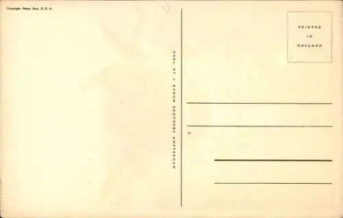 Ak Kunst aus Gemüse mit Schreibmaschiene