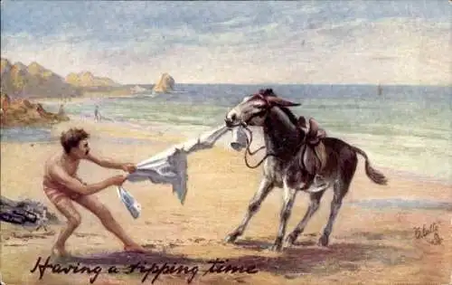 Künstler Ak Having a Ripping Time, Esel, Strand