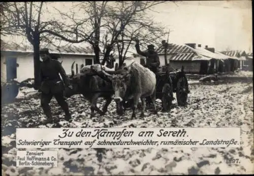 Ak Rumänien, Kämpfe am Sereth, deutsche Soldaten, Rinderkarren, Winter, I WK