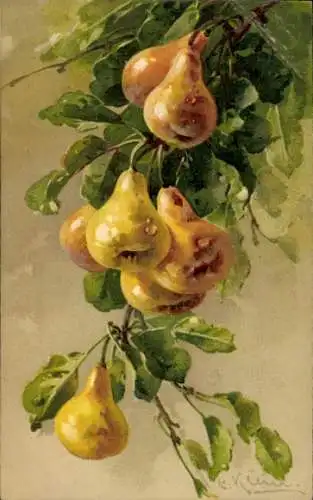 Künstler Litho Klein, Catharina, Obstbaum, Birnen