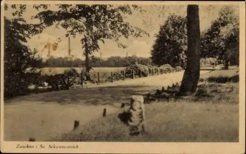 Ak Zwickau in Sachsen, Blick auf den Schwanenteich in Zwickau