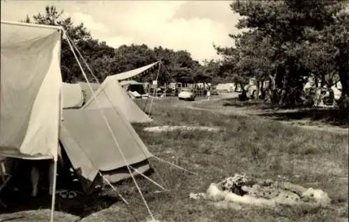 Ak Altenkirchen auf Rügen, Zeltplatz, Zelte, Graslandschaft, Autos, Bäume, Sommer