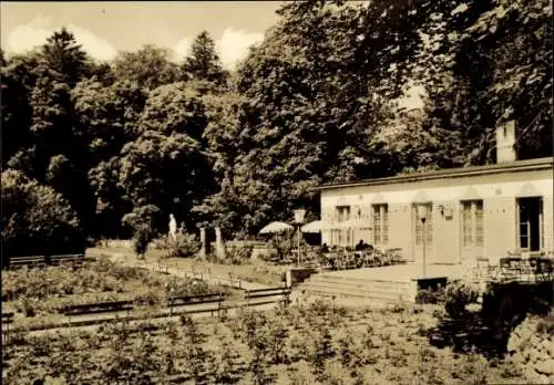 Ak Putbus auf der Insel Rügen, Rosengarten, Gebäude, Gartenmöbel, Sommer, Natur