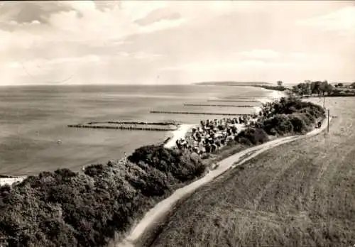Ak Ostseebad Kühlungsborn, Küstenlandschaft, Weg nach Heiligendamm