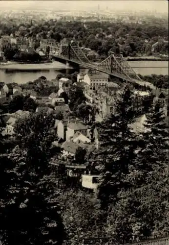 Ak Dresden Loschwitz, Blaues Wunder, Brücke, Panorama