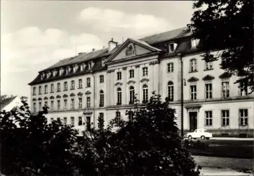 Ak Hansestadt Greifswald, Historisches Gebäude, groß, mehrstöckig, Bäume im Vordergrund
