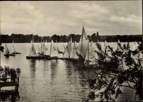 Ak Berlin Köpenick Schmöckwitz, Segelregatta auf der Oberhavel, viele Boote mit Segeln, ruhige...