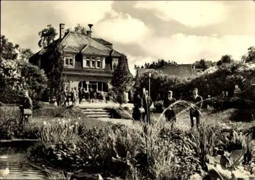 Ak Syrau Rosenbach im Vogtland, Haus, Garten, Menschen, Blumen, Teich