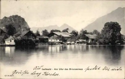 Ak Iseltwald Kanton Bern,  Brienzersee, Berge, Wasser, Häuser