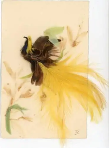 Material Ak Vogel, Echte Federn