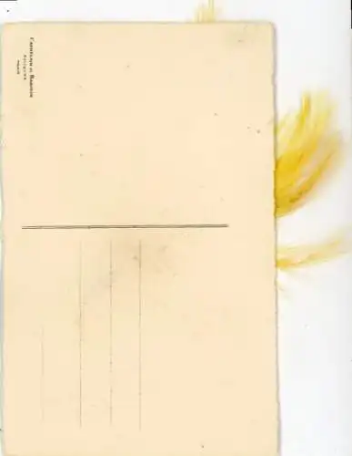 Material Ak Vogel, Echte Federn