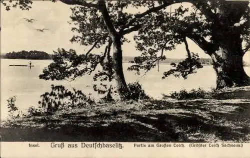 Ak Deutschbaselitz Kamenz Sachsen, Insel, Großer Teich, Gruß aus  Sachsen