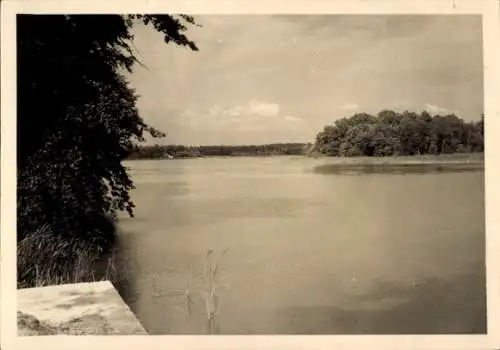 Ak Deutschbaselitz Kamenz Sachsen, Seeansicht, Wald, Himmel, Wasser, Natur