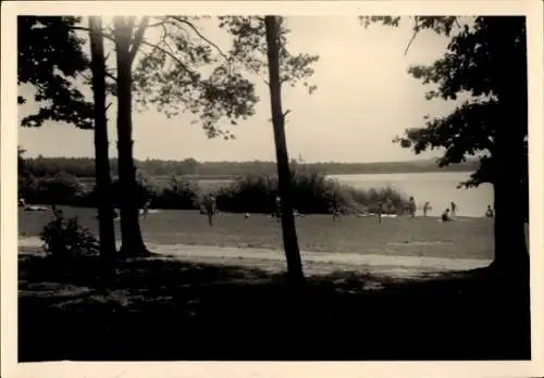 Ak Deutschbaselitz Kamenz Sachsen, Blick auf einen See, Menschen am Strand, Bäume im Vordergrund