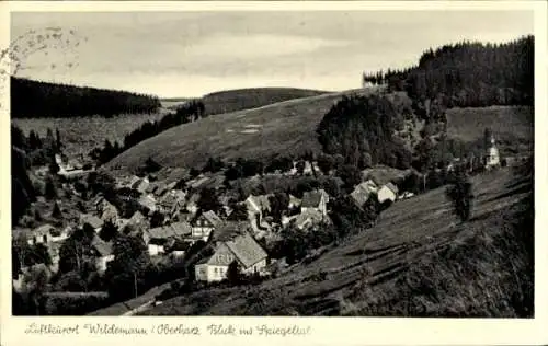 Ak Wildemann Clausthal Zellerfeld im Oberharz, Luftkurort  Oberharz, Blick ins Spiegeltal
