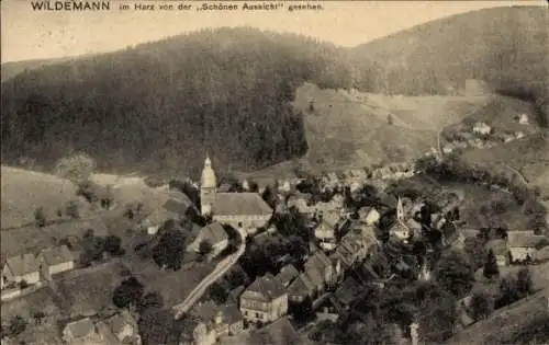 Ak Wildemann Clausthal Zellerfeld im Oberharz, Vogelperspektive auf  Kirche, bewaldete Berge