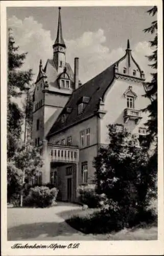 Ak Taubenheim Sohland an der Spree Sachsen, Gebäude mit spitzen Dächern, umliegendes Grün, his...