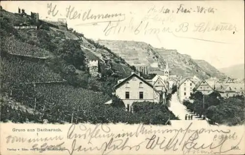Ak Bacharach am Rhein, Viehweiden, Weinberge, Gebäude, alte Architektur, Postkarte