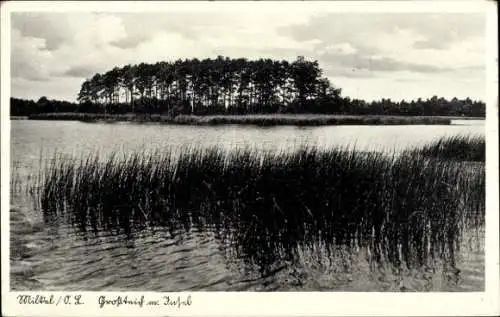 Ak Milkel Radibor Oberlausitz, Großteich mit Insel