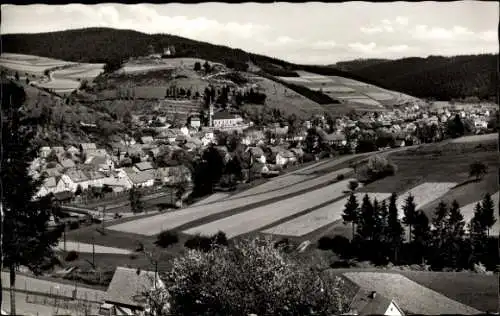 Ak Wallenfels in Oberfranken, Panorama