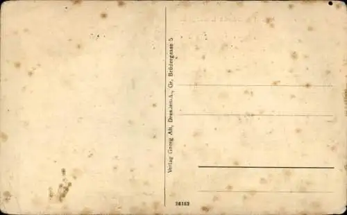 Ak Schönfeld bei Sayda Olbernhau, Teilansicht, Wohnhäuser, Anwohner