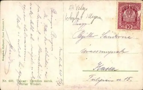 Künstler Ak Tolnay, Frau in Tracht