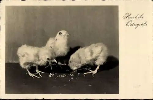 Ak Frohe Ostern, Küken picken Körner