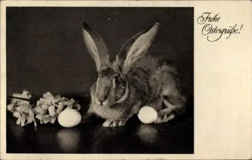Ak Glückwunsch Ostern, Hase, Ostereier