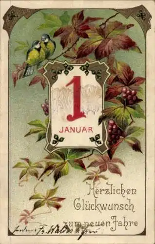 Präge Ak Glückwunsch Neujahr, Kalender, Meisen, Früchte