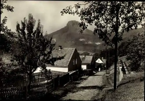 Ak Prossen Bad Schandau an der Elbe, Teilansicht, Lilienstein