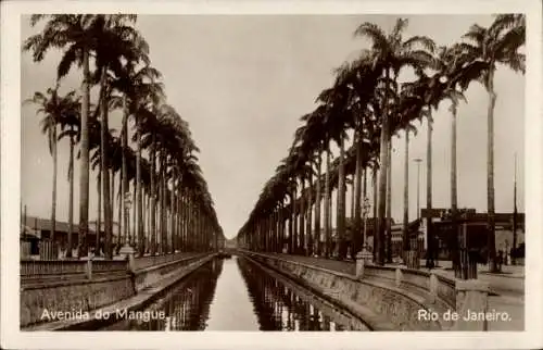 Ak Rio de Janeiro Brasilien, Blick auf die Avenida do Mangue, Palmen, Kanal, Architektur