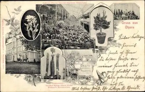 Ak Ohorn in Sachsen, Schloss, Cacteen-Sammlung, Gasthof König Albert Eiche, Gartenansicht
