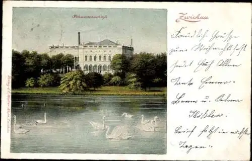 Ak Zwickau in Sachsen, Schwanenschloss Zwickau
