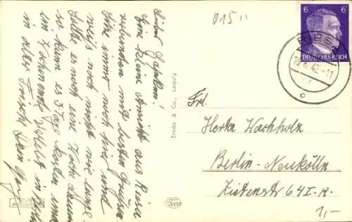 Ak Riesa an der Elbe Sachsen, Rathaus
