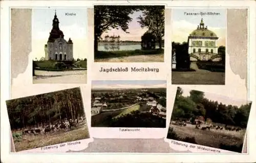 Ak Moritzburg in Sachsen, Jagdschloss, Fasanen Schlösschen, Kirche, Fütterung der Wildschweine